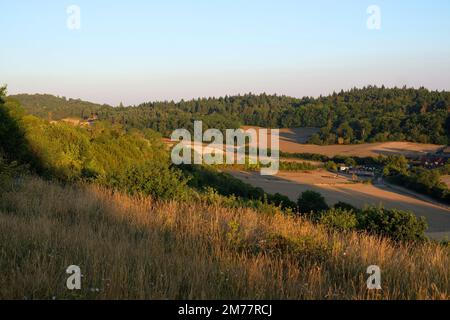 Vues de Pewley Down à Guildford, Surrey pendant la sécheresse estivale de 2021. Banque D'Images