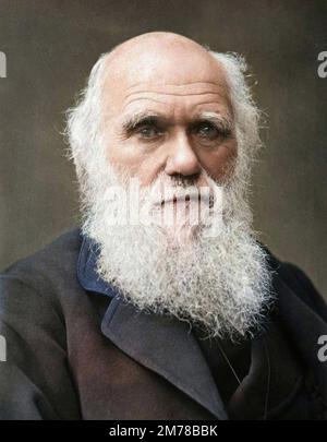 Le naturaliste anglais Charles Robert Darwin (1809-1882) Banque D'Images