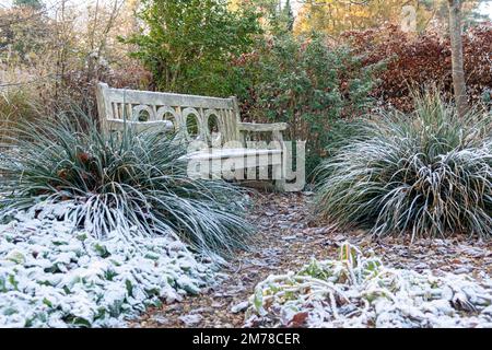 Jardin en hiver avec neige et gel sur les plantes et les herbes, y compris un banc de jardin en bois - Berkshire, Angleterre, Royaume-Uni Banque D'Images