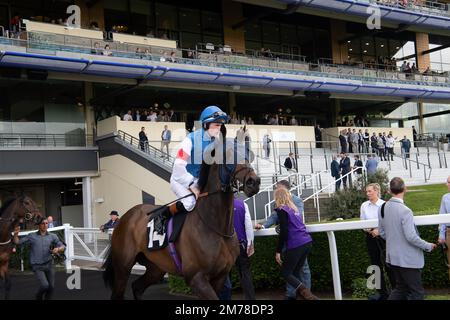 Ascot, Berkshire, Royaume-Uni. 7th mai 2022. Le cheval True courage criblé par le jockey Dylan Hogan se dirige vers l'hippodrome pour la compétition d'art des écoles locales Royal Ascot. Crédit : Maureen McLean/Alay Banque D'Images