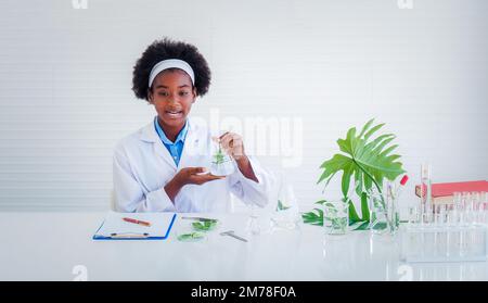 Un étudiant à la peau sombre tenant une fiole de verre contenant un morceau de la plante à l'intérieur et surprise aux résultats dans le verre. Sciences et éducation, r Banque D'Images