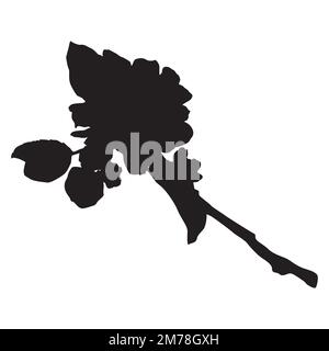 Silhouette noire de fleur de pomme. Branche d'arbre de fruits avec illustration vectorielle de fleurs Illustration de Vecteur