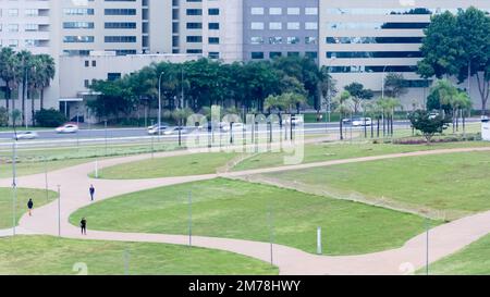 Détail architectural du jardin Burle Marx situé à l'Exio Monumental (Monumental Axis), une avenue centrale dans le design de la ville de Brasilia Banque D'Images