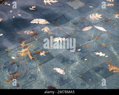 84109 plans de construction Step of Discovery et bien plus encore Banque D'Images