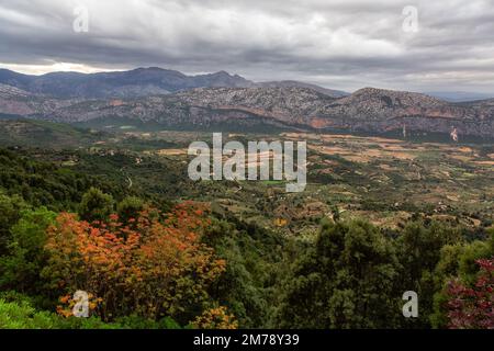 Fermes et champs verts avec fond de paysage de montagne. Près de Dorgali, Sardaigne, Italie Banque D'Images