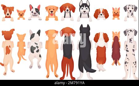 Chiens suspendus. Animaux de compagnie péeking bordure avant ou arrière, dessin animé chien debout chiots accrocher la tête et le paw sur la bannière, les visages de canine de rangée, les animaux de peek illustration de vecteur ingénieuse de peeking dehors par le chiot Illustration de Vecteur