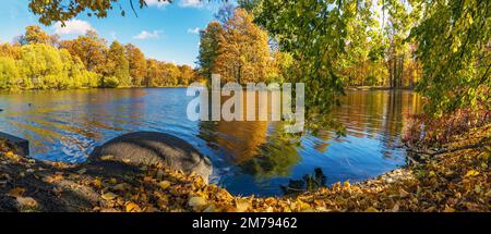 Paysage d'automne avec arbres . Île d'Elagin . Saint-Pétersbourg. Banque D'Images