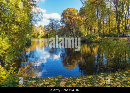 Paysage d'automne avec arbres . Île d'Elagin . Saint-Pétersbourg. Banque D'Images