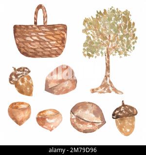 Set aquarelle avec arbre et panier, noix noisettes, glands. Arrière-plan de l'illustration bois dessinée à la main. Forêt d'automne. Banque D'Images