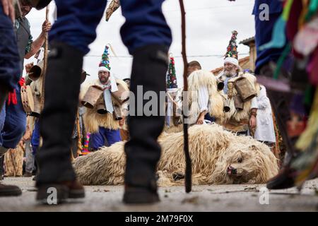 08 janvier 2023, Espagne, Silió: Un homme habillé comme un ours mort se trouve sur le sol entouré par la danse et bruyant 'Zarramacos' (guerriers du bien) célébrant la mort du mal. La Vijanera, un carnaval traditionnel dans le nord de l'Espagne, est une célébration ethnographique qui a lieu au solstice d'hiver. Les villageois vêtus de costumes naturels dansent bruyamment pour accueillir le nouvel an et chasser les mauvais esprits. Photo : Felipe Passolas/dpa Banque D'Images