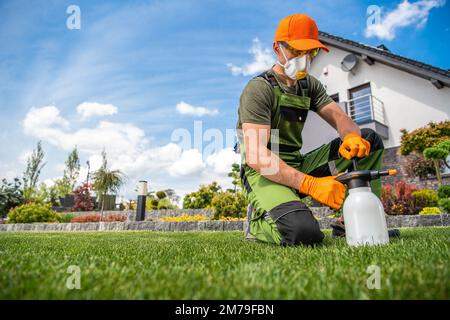 Jardinier professionnel portant un masque facial complet et des lunettes de sécurité prêt à appliquer des pesticides sur l'herbe à gazon avec pulvérisateur à pompe d'une seule main. Banque D'Images