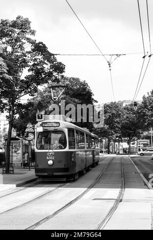 Trams dans les rues de Vienne, Autriche Banque D'Images