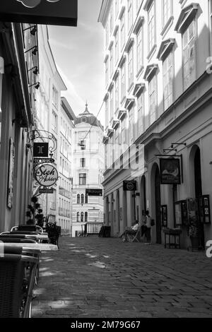 Autour de Vienne, bâtiments, cafés, art public et rues pavées Banque D'Images