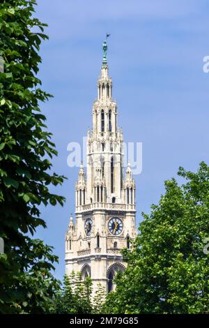 Vues depuis la Volksgarten à Vienne, les parterres de fleurs, le musée d'histoire naturelle, le Rathaus et le Burgtheater Banque D'Images