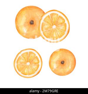 Jeu d'illustrations orange aquarelle, clipart de fruits tangerine dessiné à la main. Aliments biologiques sains. Banque D'Images