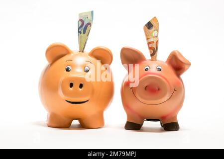 Banques de piggy roses avec billets en euros, 50 euros, 20 euros, photographie en studio Banque D'Images