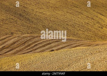 Champ après récolte dans un paysage vallonné, près d'Asciano, Toscane, Italie Banque D'Images