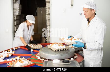 Ouvrier agricole de volaille triant les œufs de poulet et les emballer dans des plateaux de papier Banque D'Images