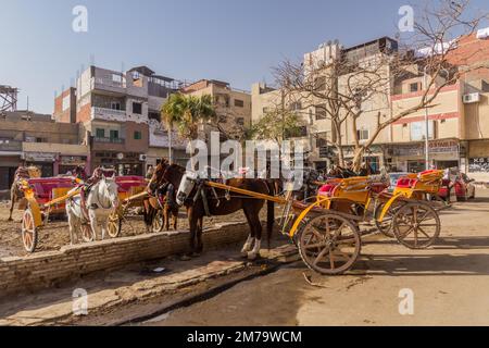 LE CAIRE, EGYPTE - 31 JANVIER 2019: Voitures de chevaux en attente de touristes dans le quartier de Giza au Caire, Egypte Banque D'Images