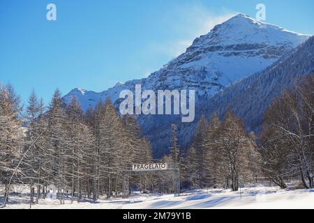 Forêt de montagne avec sapins enneigés. Belle scène extérieure des Alpes du Piémont. Beauté de la nature concept de fond. Banque D'Images