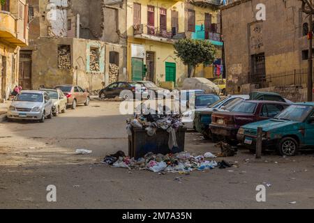 LE CAIRE, EGYPTE - 29 JANVIER 2019: Rue avec une benne à ordures et animaux isolés au Caire, Egypte Banque D'Images