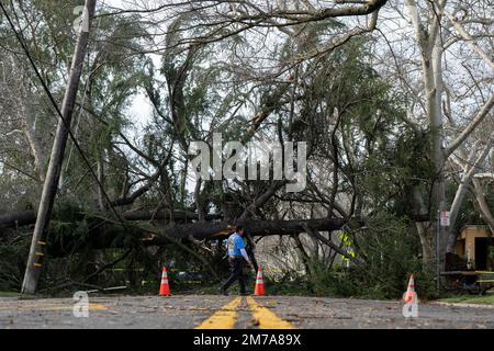 Sacramento, Californie, États-Unis. 8th janvier 2023. Les résidents de l'est de Sacramento voient des arbres bloquant H Street et 36th Street à Sacramento, le dimanche 8 janvier 2023 après la tempête aa le samedi soir. (Image de crédit : © Paul Kitagaki Jr./ZUMA Press Wire) Banque D'Images