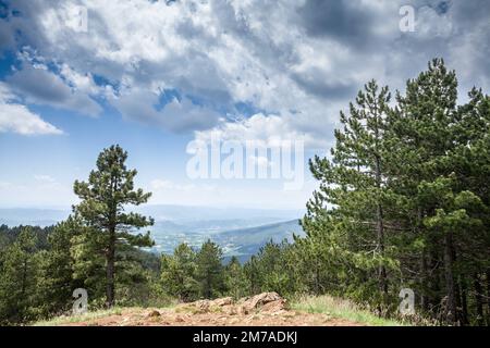 Image d'un panorama de Tometino polje et divcibare vu d'un point de vue. Divčibaare est une ville et station de montagne située sur la montagne Maljen ( Banque D'Images