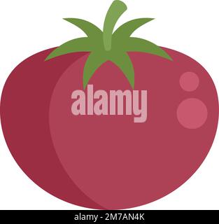 Vecteur plat d'icône de tomate GMO. Nourriture ADN. Médecine science isolée Illustration de Vecteur