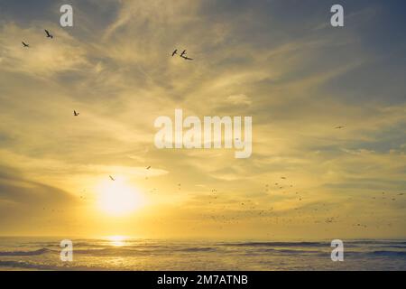 Coucher de soleil doré sur l'océan Pacifique. Soleil se coucher à l'horizon, silhouette d'oiseaux volants. Magnifique paysage marin tranquille Banque D'Images