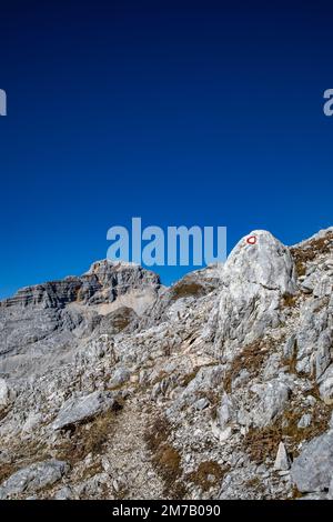 Randonnée Križ - Stenar - Bovški gamsovec, alpes juliennes, Slovénie Banque D'Images