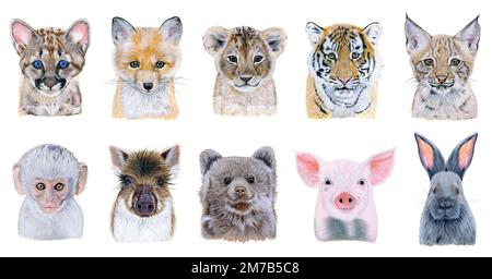 Définir l'illustration aquarelle d'un portrait de dix petits animaux. Animal dessiné à la main sur blanc Banque D'Images