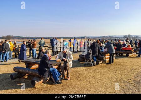 Visiteurs au lac Hornborga en suède au printemps Banque D'Images