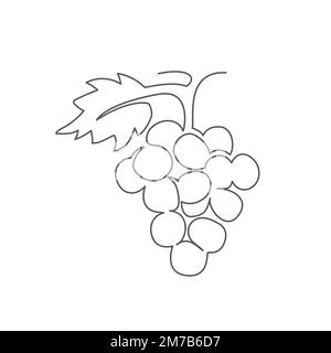 Dessin d'une ligne de raisin sur fond blanc Illustration de Vecteur