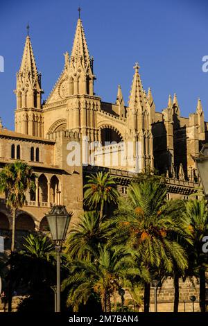 Cathédrale de Majorque, siècle. XIII à XX siècle. Palma. Majorque. Îles Baléares. Espagne. Banque D'Images