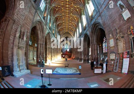 La nef de Chester Cahedral, Chester, Royaume-Uni. Banque D'Images