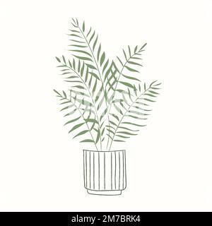Plante en pot vecteur maison plante dorée de canne paume Illustration de Vecteur