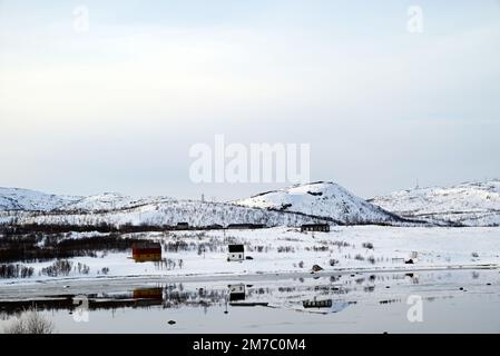 La colonie de Nesseby dans le fjord de Varanger près de Kirkenes, à l'extrême nord de la Norvège. Banque D'Images