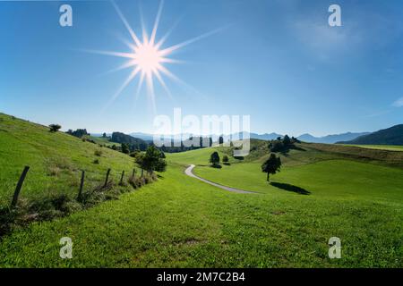 Paysage montagneux de prairie, montagnes de Karwendel en arrière-plan, Allemagne, Bavière, Steigrain, Bad Kohlgrub Banque D'Images