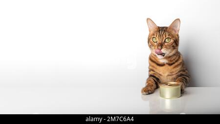 Chat bengale doré avec une boîte de nourriture en conserve sur fond blanc. Banque D'Images