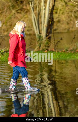 Fordingbridge, Hampshire, Royaume-Uni, 9th janvier 2023, Météo : un interlude sec, car de récentes pluies torrentielles augmentent le niveau de l'eau dans la rivière Avon et de nouvelles pluies sont attendues demain. Une femme à Wellington se lance dans l'eau sur la rive inondée. Paul Biggins/Alamy Live News Banque D'Images