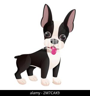 Boston terrier chiot cool debout dans le style de dessin animé isolé sur fond blanc. Joli motif chien et imprimé. Illustration vectorielle Illustration de Vecteur