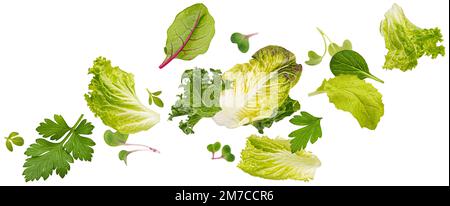 Chute des feuilles de salade isolées sur fond blanc Banque D'Images