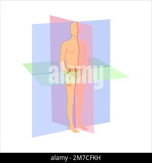 Plans d'acquisition pour le diagramme de position d'orientation du corps Illustration de Vecteur