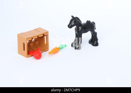 un cheval noir avec une caisse contenant une carotte et une pomme. Figurine LEGO Banque D'Images