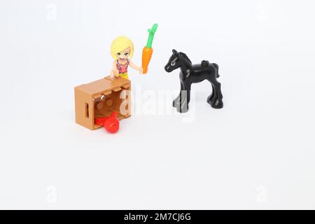 un cheval noir avec une caisse contenant une carotte et une pomme. LEGO Minifigure fille Banque D'Images