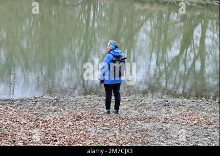 Basse-Autriche, Autriche. Réserve naturelle de Marchauen dans la plaine inondable de la Mars. Zone d'inondation dans le parc naturel Banque D'Images