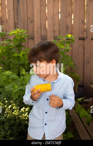 Enfant mangeant du maïs. Un petit garçon mignon qui mange du maïs en rafle dans le jardin. Agriculture et cultures d'automne Banque D'Images