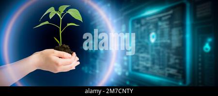 Technologies agricoles pour la culture des plantes et recherche scientifique dans le domaine de la biologie et de la chimie de la nature. Le vert vivant pousse dans les mains d'un agriculteur. Fond numérique organique. Photo de haute qualité Banque D'Images