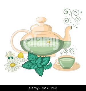 Bouilloire à base de tisane à la menthe avec camomille Illustration de Vecteur