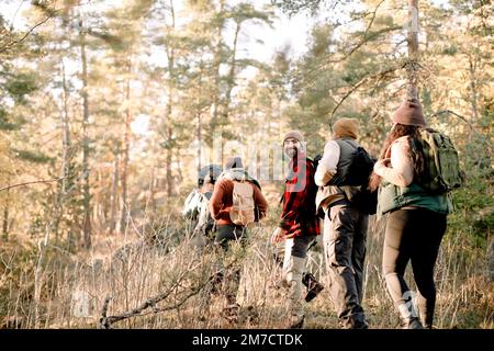 Des amis qui marchent dans les rangs tout en marchant ensemble dans la forêt Banque D'Images